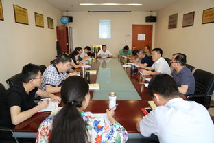 夯实思想根基，筑牢信仰之魂——咨询公司党委组织开展“两学一做”学习教育第二次讲党课活动